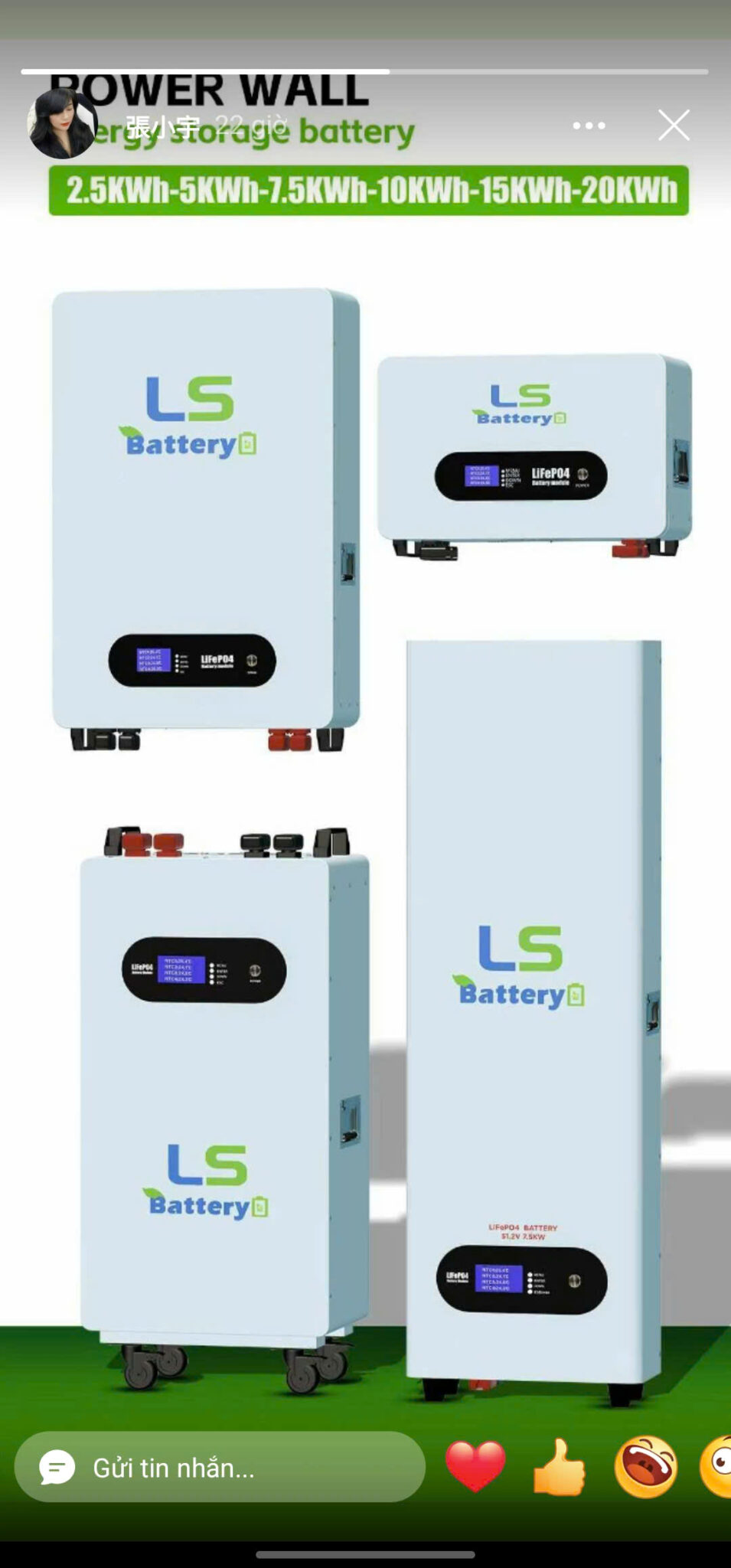Pin Lưu Trữ LS BATTERY 150Ah 51.2V - togosolar